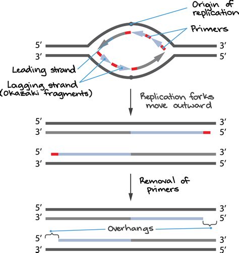 why are the ends of dna fragments low quality